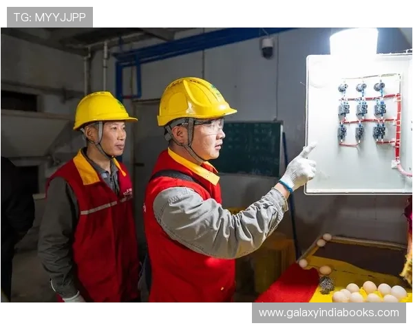 博马体育国际娱乐平台安全保障措施，保障用户资金与个人信息安全的详细介绍