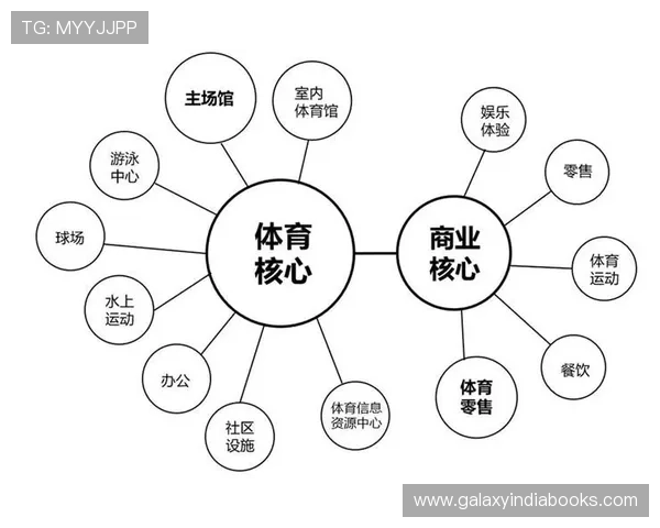完美体育推动体育产业链升级实现多元化盈利模式的具体措施