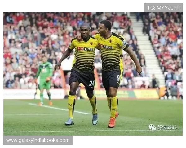 满冠体育引领体育产业创新发展,打造高品质体育赛事和专业培训服务 满冠体育引领体育产业创新发展,打造高品质体育赛事和专业培训服务